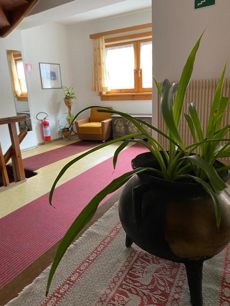 Garni Sonne Hotel Malles Venosta Eksteriør billede